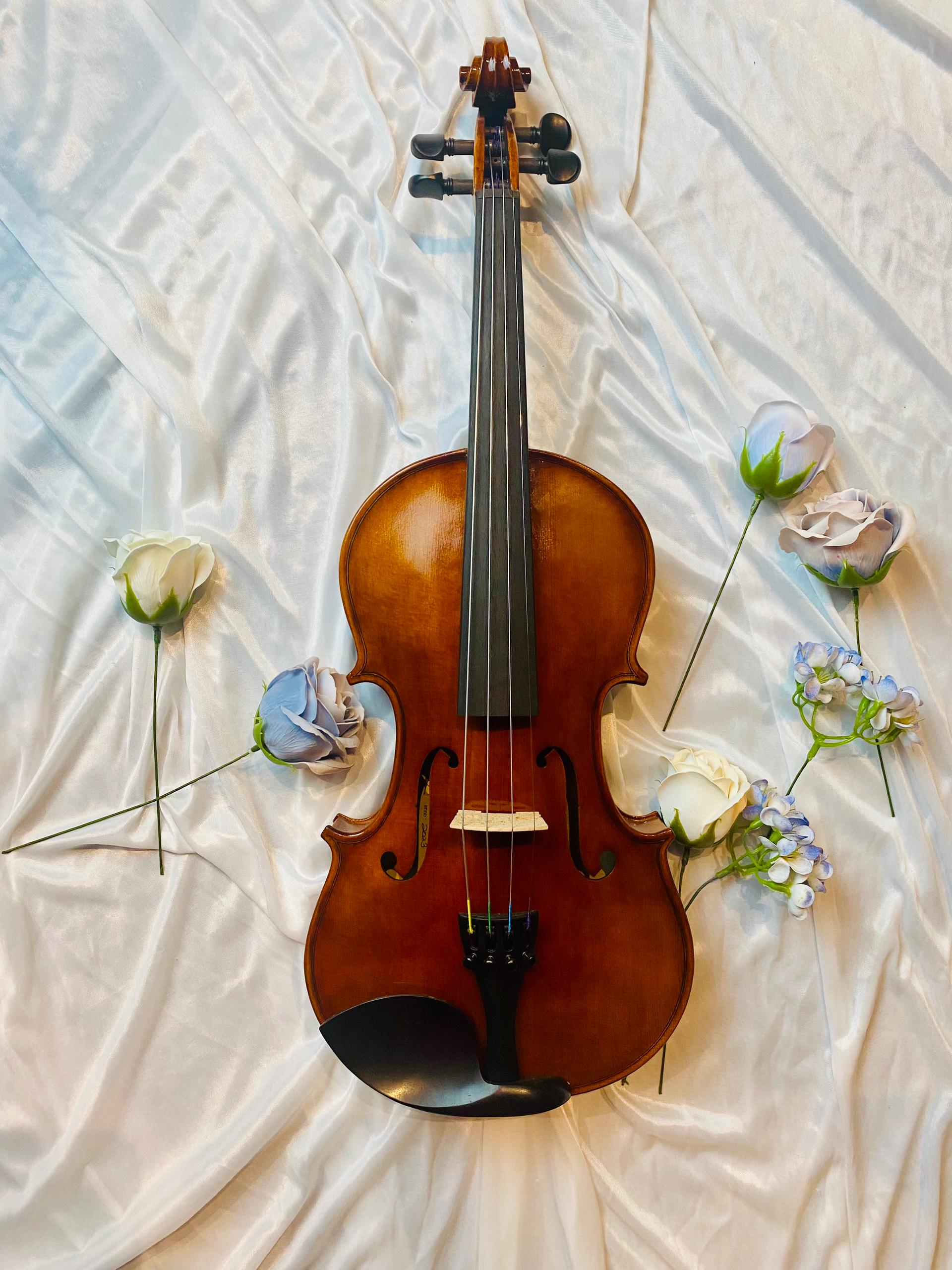 AMADEUS LV1 Violin