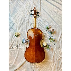 AMADEUS LV1 Violin