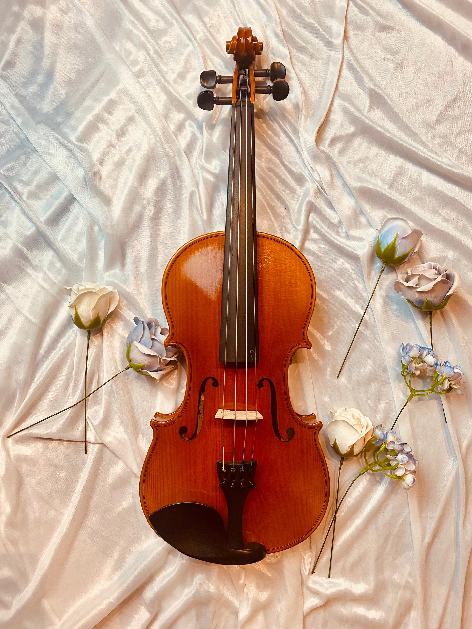 AMADEUS LV2 Violin
