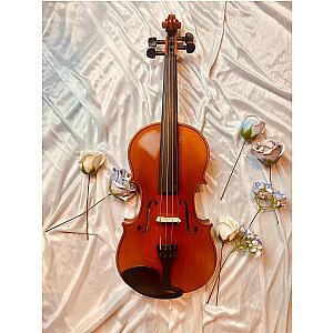 AMADEUS LV2 Violin