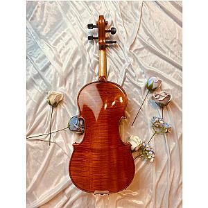 AMADEUS LV2 Violin