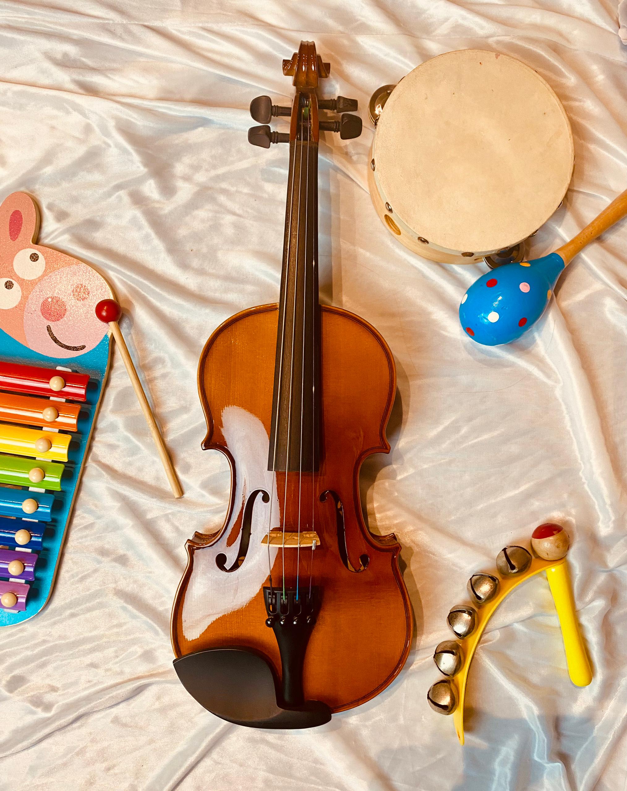 CARLO MAGDINI VS100 1/2 Violin