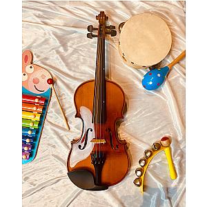 CARLO MAGDINI VS100 1/2 Violin