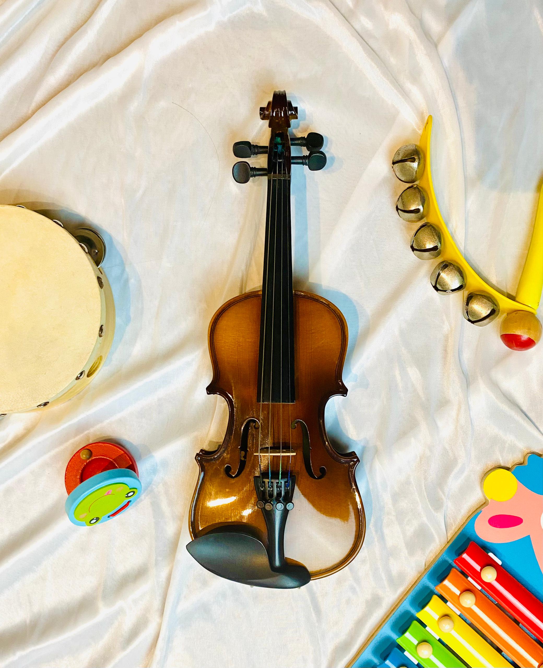 CARLO MAGDINI VS100 1/16 Violin