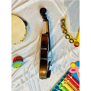 CARLO MAGDINI VS100 1/16 Violin