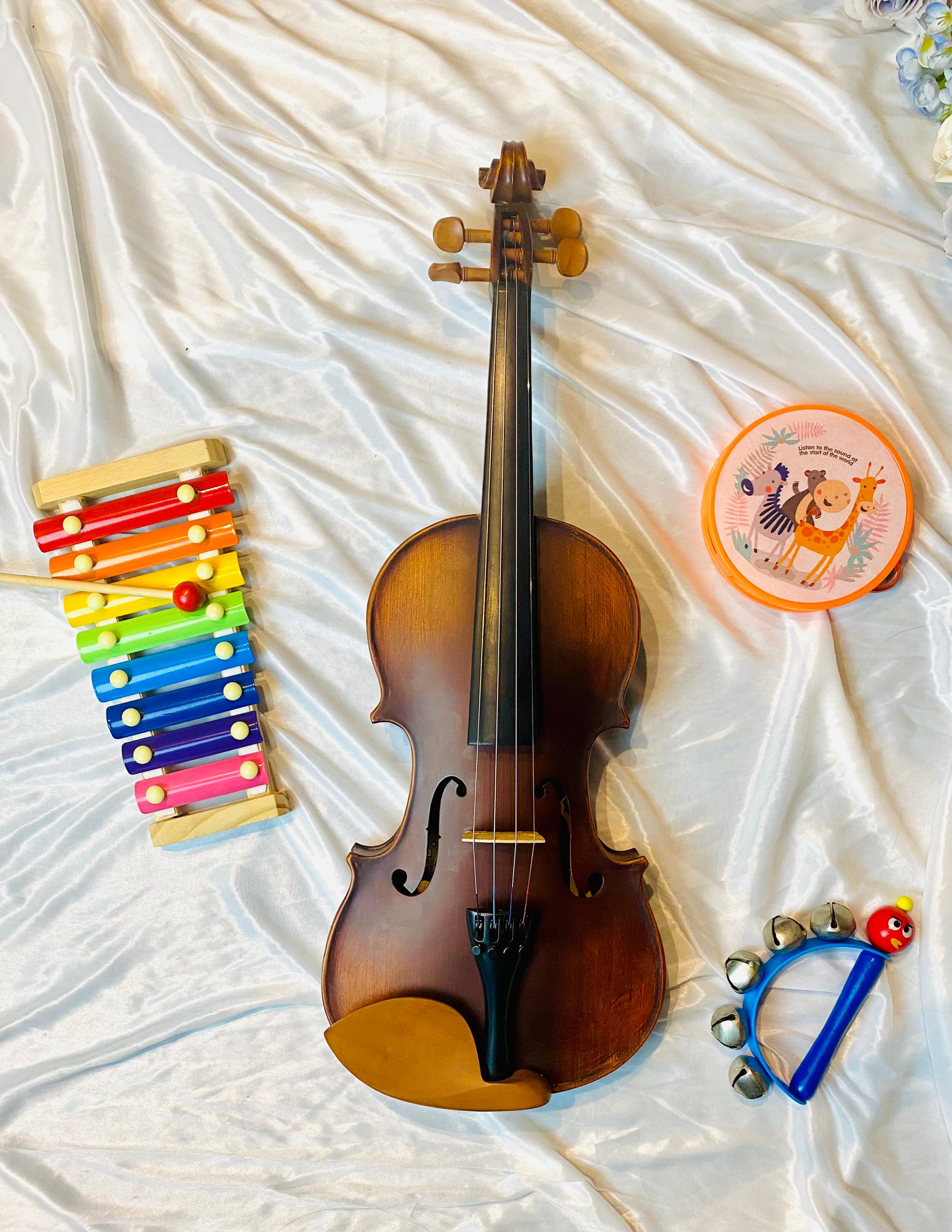 DCLAIR X100B / 100 SERIES - 4/4 Violin