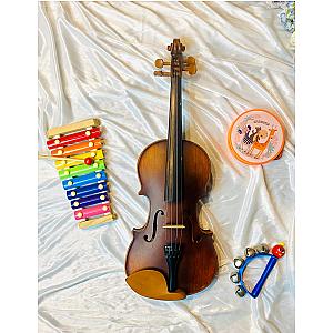 DCLAIR X100B / 100 SERIES - 4/4 Violin