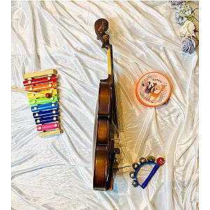 DCLAIR X100B / 100 SERIES - 4/4 Violin