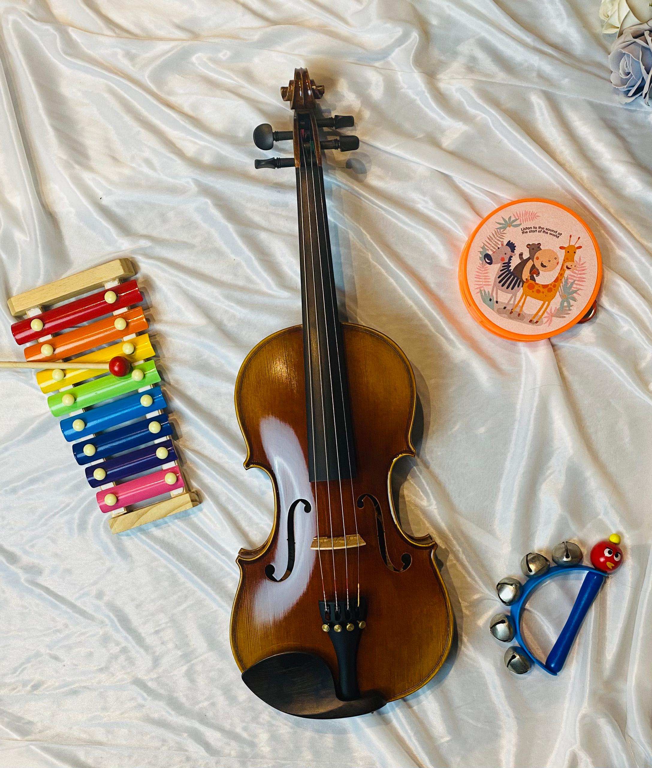 KS STRINGS PROFESSIONAL 20 - 4/4 Violin