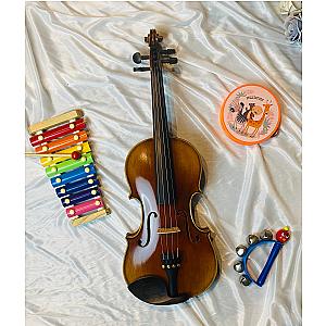 KS STRINGS PROFESSIONAL 20 - 4/4 Violin