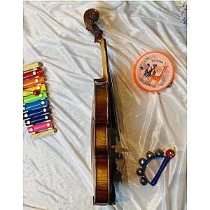 KS STRINGS PROFESSIONAL 20 - 4/4 Violin