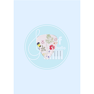 JAPAN IBANEZ CP14H-P3 Guitar Picks