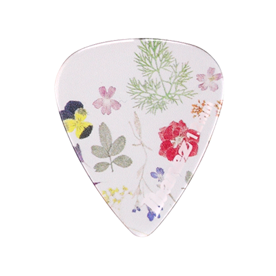 JAPAN IBANEZ CP14XH-P3 Lush Greenery Guitar Picks